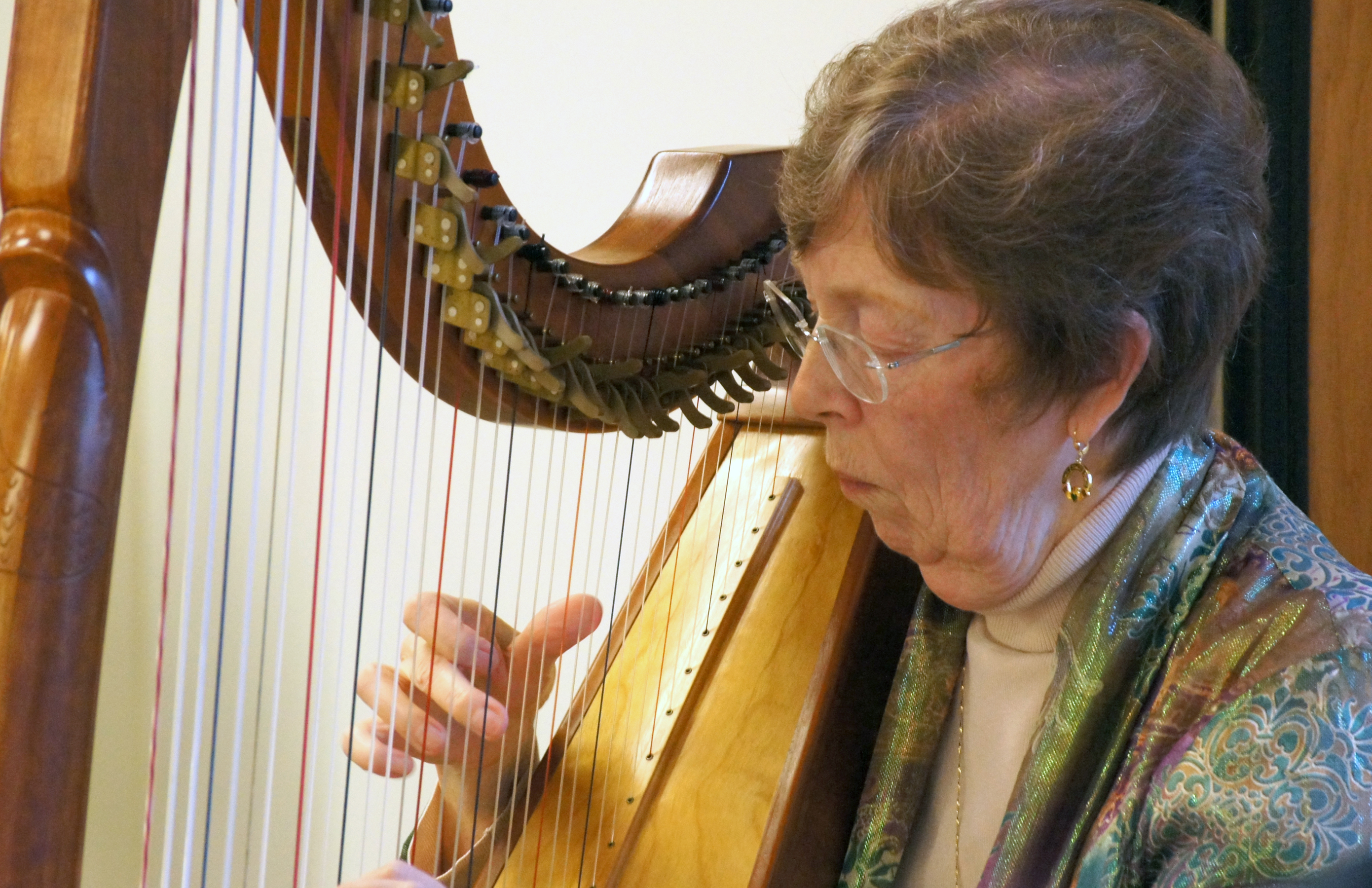 Meridith Schifsky plays her harp at a Volunteer Appreciation party.