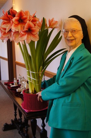 Sister Johnetta and her amaryllis