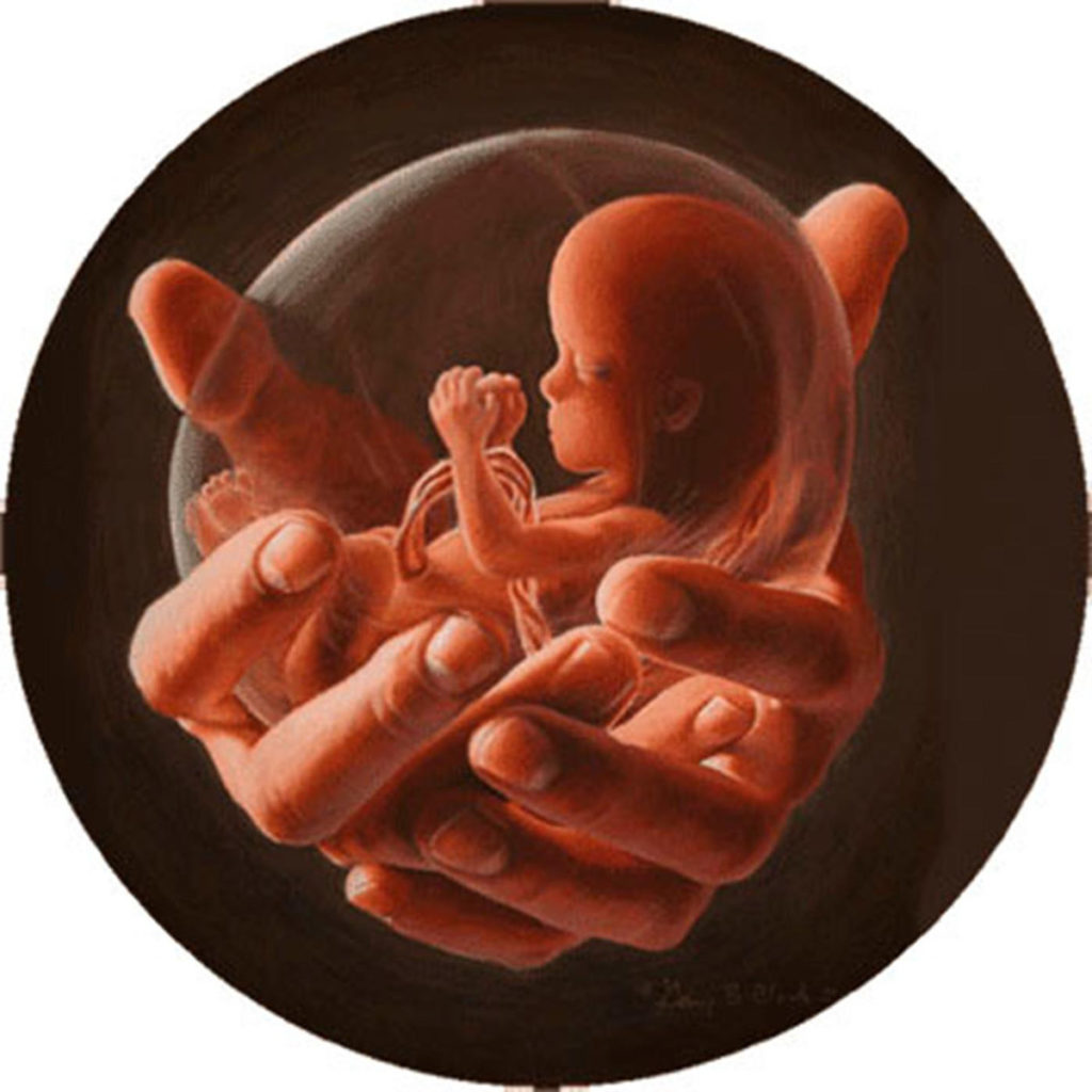 day-of-prayer-for-the-legal-protection-of-unborn-children-duluth