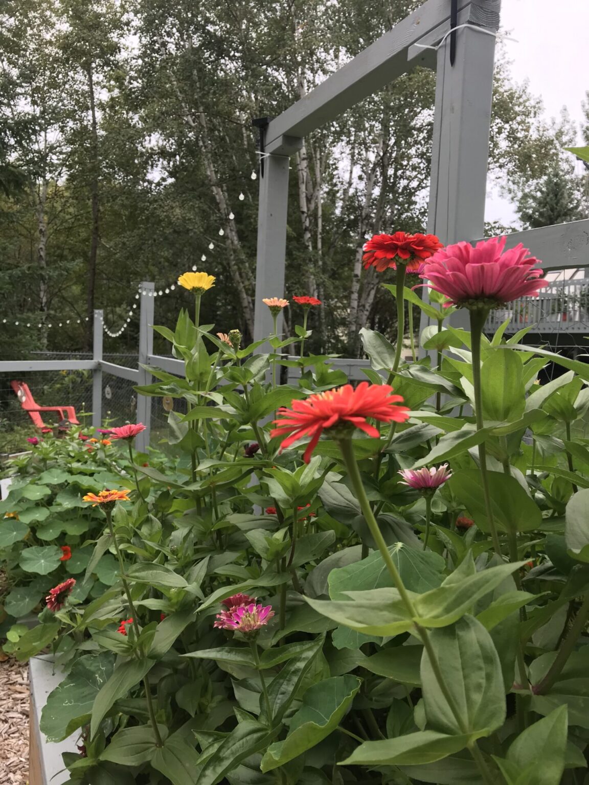 to-plant-a-garden-is-to-believe-in-tomorrow-duluth-benedictines