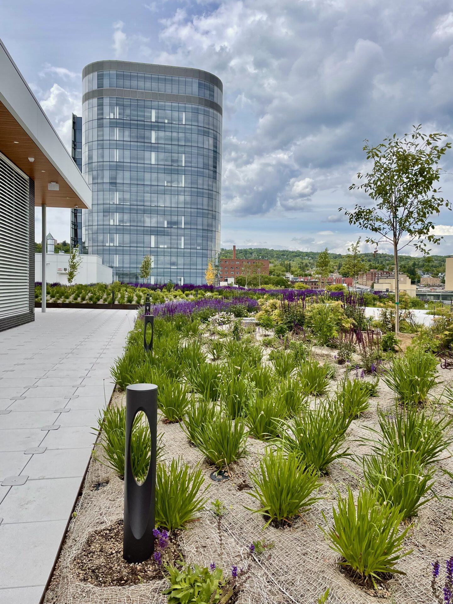 The inpatient tower of St. Mary's Medical Center, with the rooftop garden in the foreground